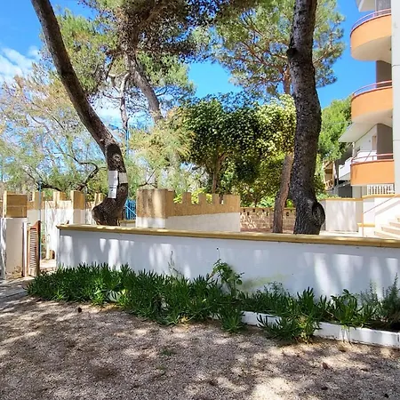 Luxury & Con Accesso Alla Spiaggia E Parcheggio Privato - Vista Mare Gæstehus Lido Conchiglia