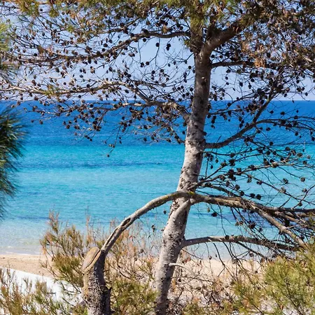 Luxury & Con Accesso Alla Spiaggia E Parcheggio Privato - Vista Mare Gæstehus Lido Conchiglia